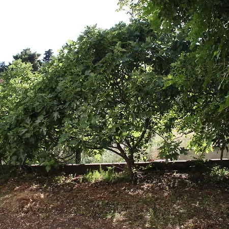 With A Parking Space Gradac, Makarska - 6783 아파트 *